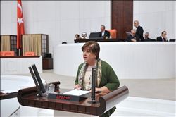 TÜRKMEN“BAŞKANLIK ÜLKENİN DEĞİL AKP´NİN GÜNDEMİ” 