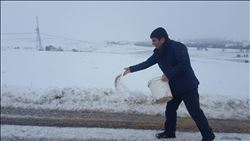 Yabani hayvanlar açlığa karşı yemlendi.
