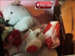 Tuvalet deliğinde ve oyuncak ayı içinde eroin ele geçirildi  