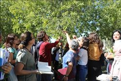    ÇÜ´DE UYGULAMALI PEYZAJ EĞİTİMİ   