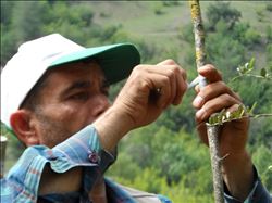 ORMAN VE SU İŞLERİ BAKANLIĞI ADANA´DA ORMAN KÖYLÜSÜNE DESTEK