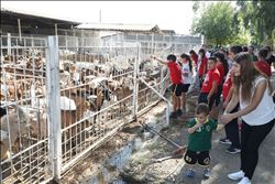 ÇÜ. Akademik Keçileri Minik Hayranlarıyla