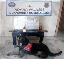 Kozan´da uyuşturucu operasyonu