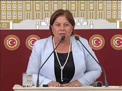 TÜRKMEN´DEN BAKAN ALBAYRAK´A SORU