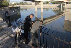 Nehirde su kesilince binlerce balık telef oldu