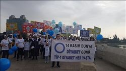 Hekimler ve diyabet hastası çocuklar Taşköprü´de buluştu