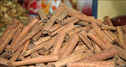 Havaların soğuması aktarlara yaradı