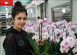 Orkide ithalatına Adana´dan yerli ve milli çözüm  