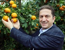 "Narenciye ihracatına mal yetişmiyor,bu yıl hiçbir ürün ağaçta kalmayacak"