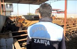 Sağlığımızla oynuyorlar