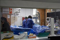 Numune Eğitim ve Araştırma Hastanesinde  konferans