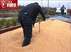 Polis, mısır yüklü tırlarda şişle kaçak akaryakıt aradı  