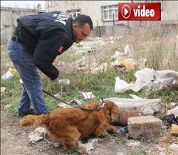  Narkotik köpeği Coco, taş altından uyuşturucu zulası buldu  