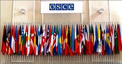    ULUSLARARASI GÖZLEMCİLERİN REFERANDUM ÖNRAPORU