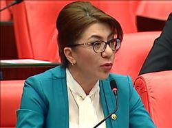 BİÇER:“1500 ASKERİN ZEHİRLENDİĞİ, BİR ASKERİN ŞEHİT OLDUĞU OLAYIN ALTINDAN YANDAŞ ŞİRKET ÇIKTI”