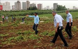 Patates başakçıları polise rağmen tarladan çıkmadı 