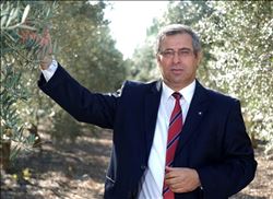 TMMOB Ziraat Mühendisleri Odası:"Zeytinlik ve Meralar korumacılıktan mahrum bırakılıyor"