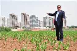 “YARGI HİÇE SAYILIYOR, TARIM ARAZİLERİ BETONLAŞIYOR”