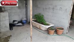 Adana´da uyuşturucu tacirlerine koçbaşlı darbe: 15 gözaltı