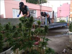 Damdaki manzara polisi bile şaşkına çevirdi 