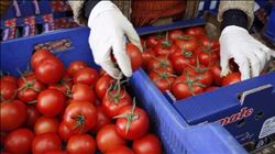 RUSYA´NIN DOMATES YASAĞI EN AZ ÜÇ YIL SÜRECEK