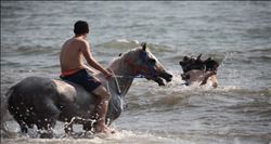 At sırtında deniz keyfi