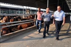 “TARIM VE HAYVANCILIK İTHALAT KURBANI”