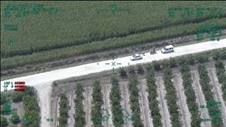 MISIR TARLASINDA HİNT KENEVİRİ ELE GEÇİRİLDİ