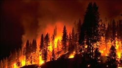 YAZ AYLARININ  KABUSU ORMAN YANGINLARI