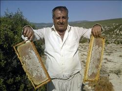 ARICILAR BU SENE BAL ÜRETİMİNDE REKOR BEKLİYOR