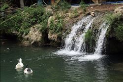 ADANA´NIN AÇIK HAVA STÜDYOSU YERKÖPRÜ
