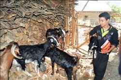 Adanalı çobanın TEOG zaferi  