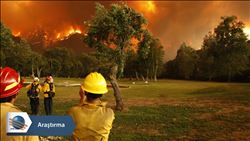 İhmal ve dikkatsizlik ormanları yok ediyor