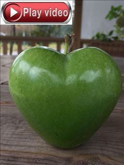 "TÜRKİYE ŞEKİLLİ MEYVE SEBZE PAZARINA YAKIN"