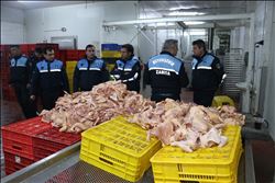 Akkapı mahallesine  kaçak tavuk baskını