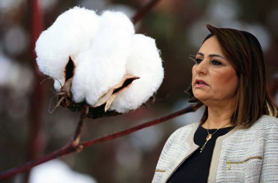 Şevkin, “Türk pamuk üreticisi çalışıyor, Amerikan çiftçisi kazanıyor”