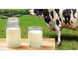 Nisan ayında 889 bin 725 ton inek sütü toplandı