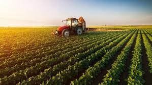 Tarım ürünleri üretici fiyat endeksi  yıllık yüzde 24,69 arttı